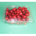 Boîte en plastique claire de pp de santé qui respecte l&#39;environnement pour le fruit (emballage de nourriture)